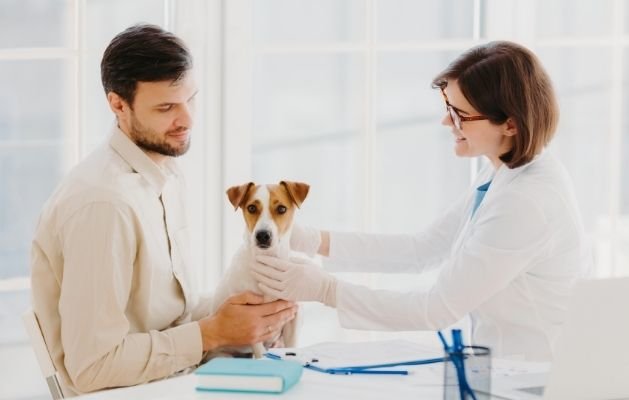 Evcilyum Klinikteki Dahiliye İşlem ve Operasyonlar